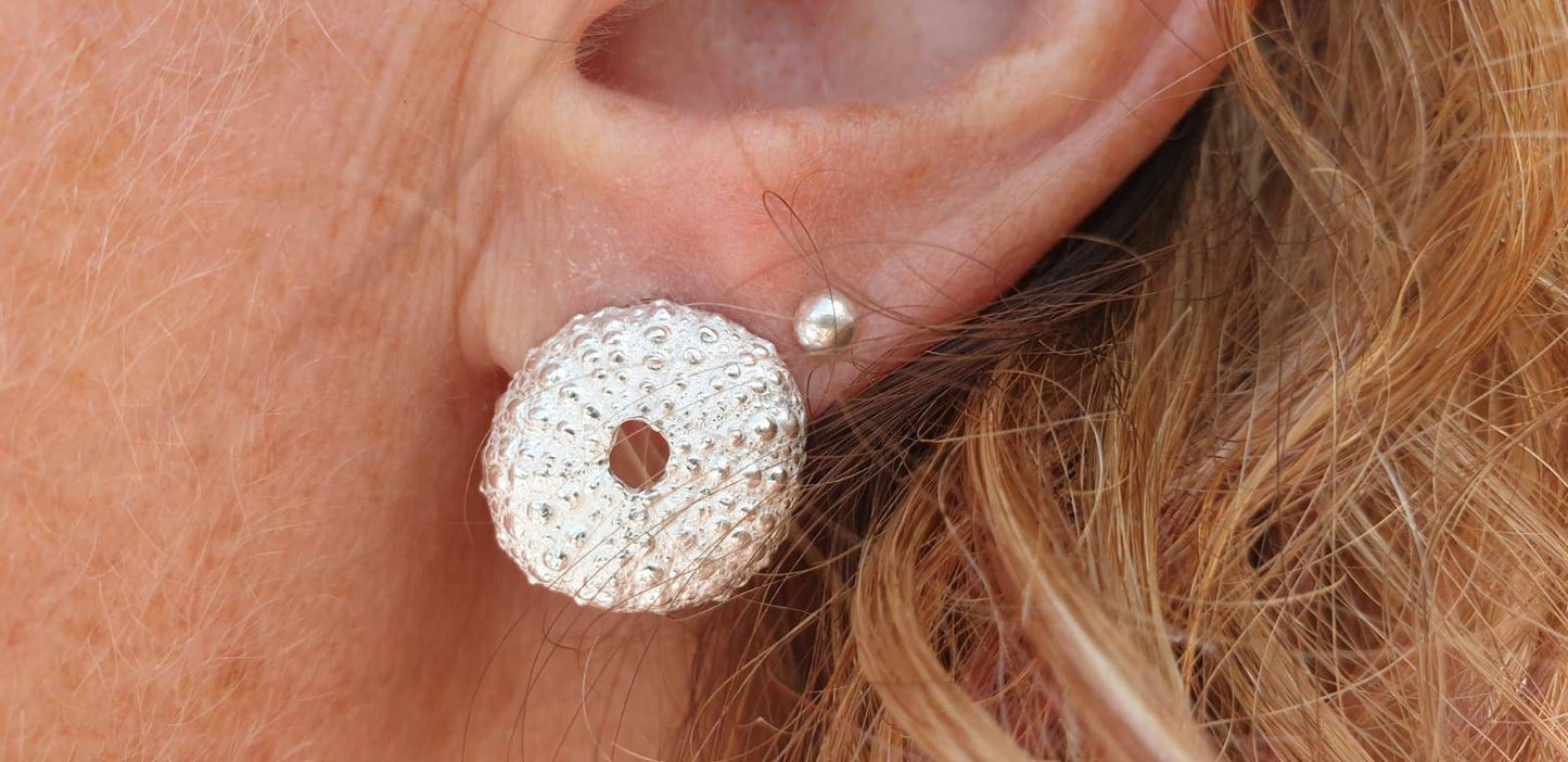 Sea urchin shell stud earrings