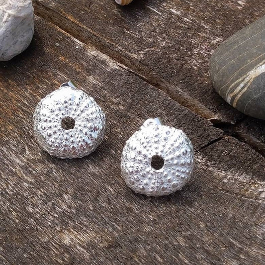 Sea urchin shell stud earrings