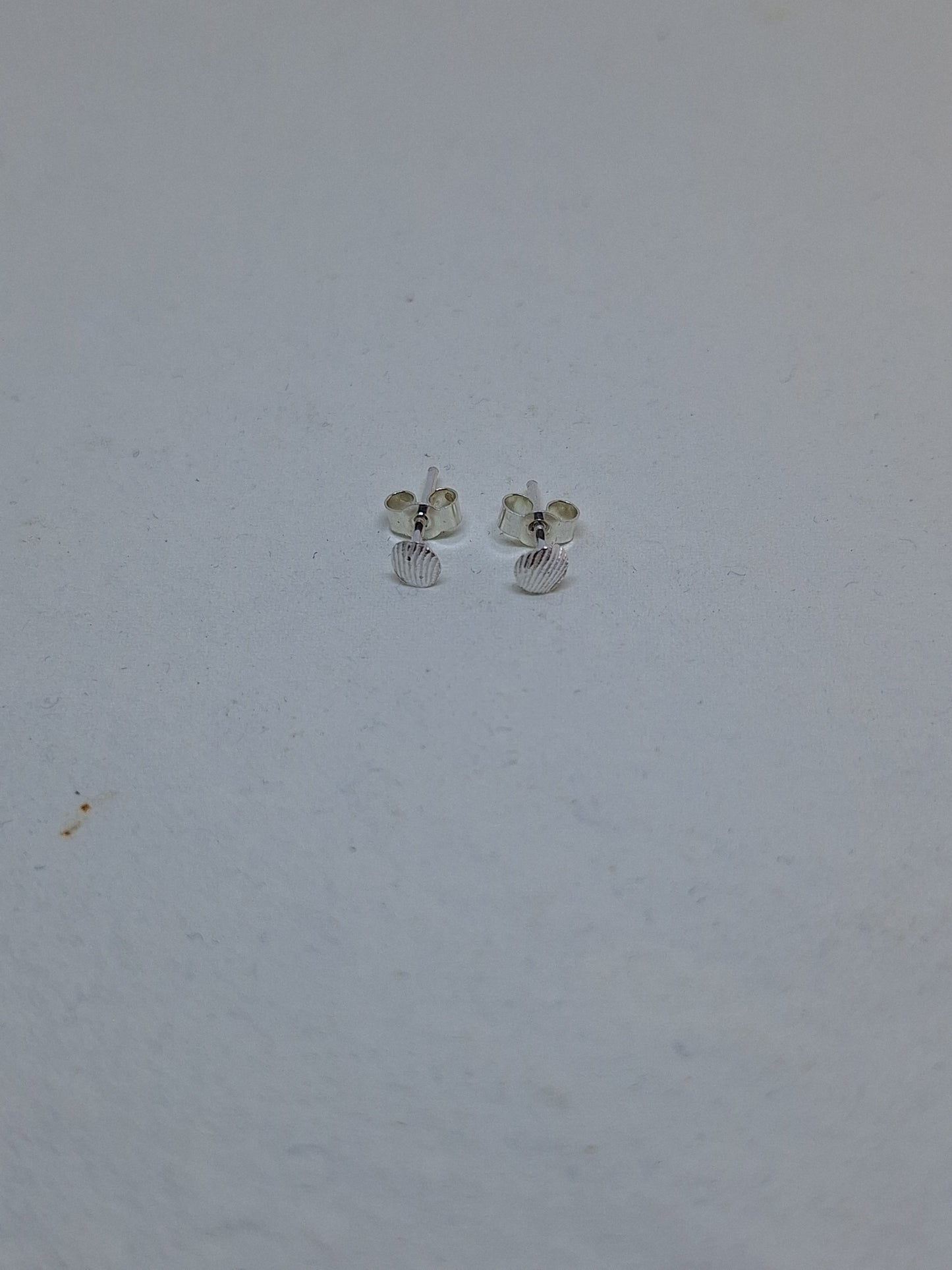 Cockle shell stud earrings