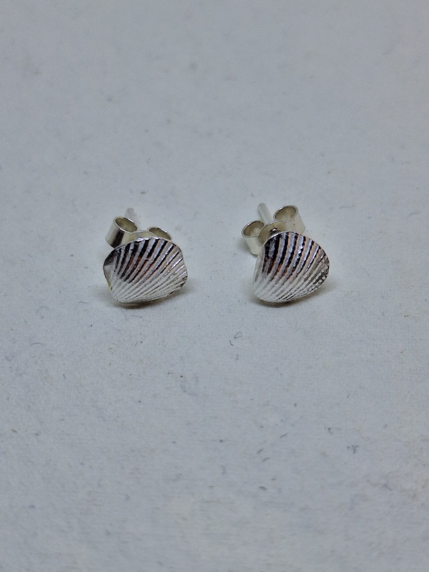 Cockle shell stud earrings