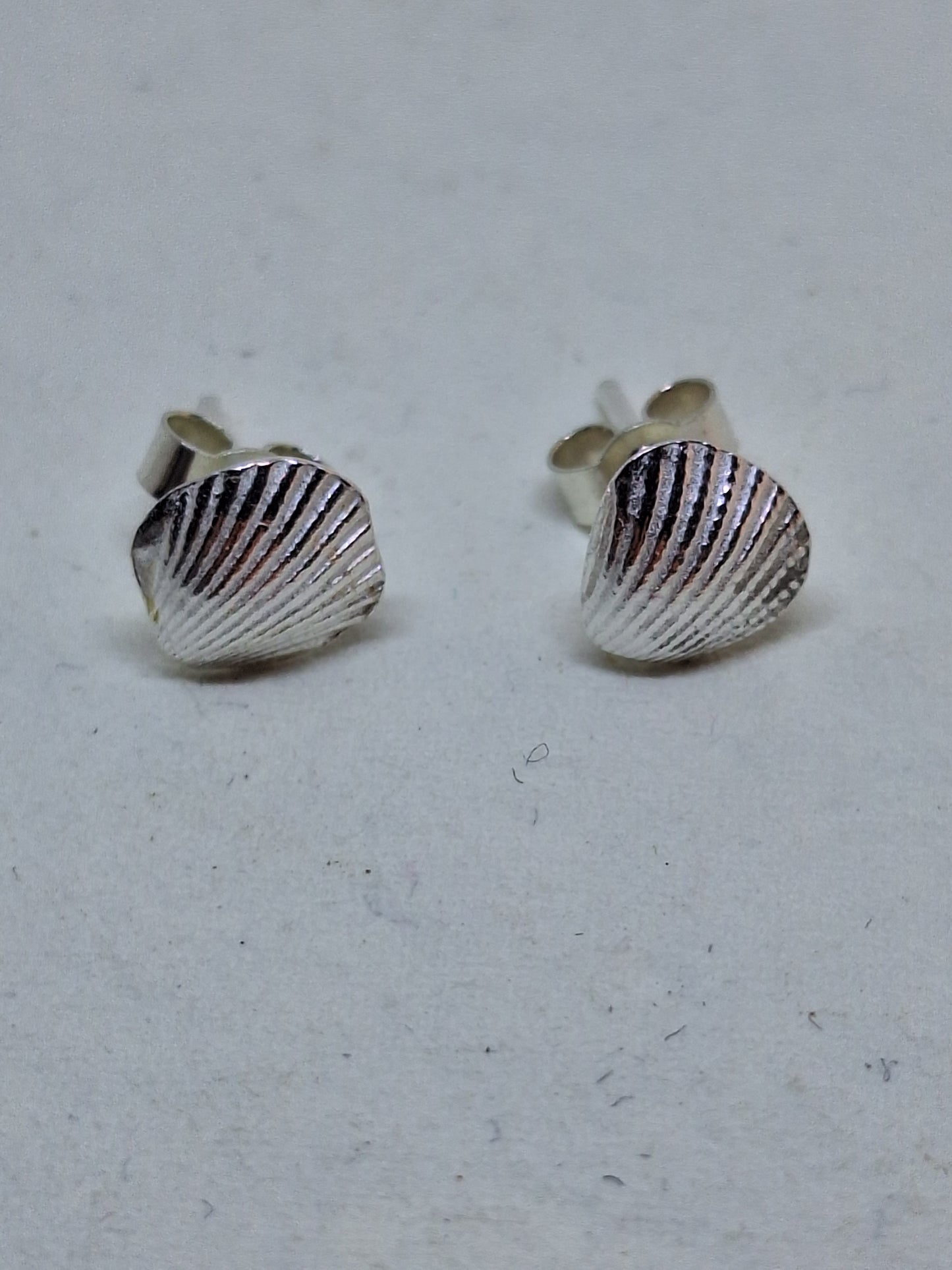 Cockle shell stud earrings