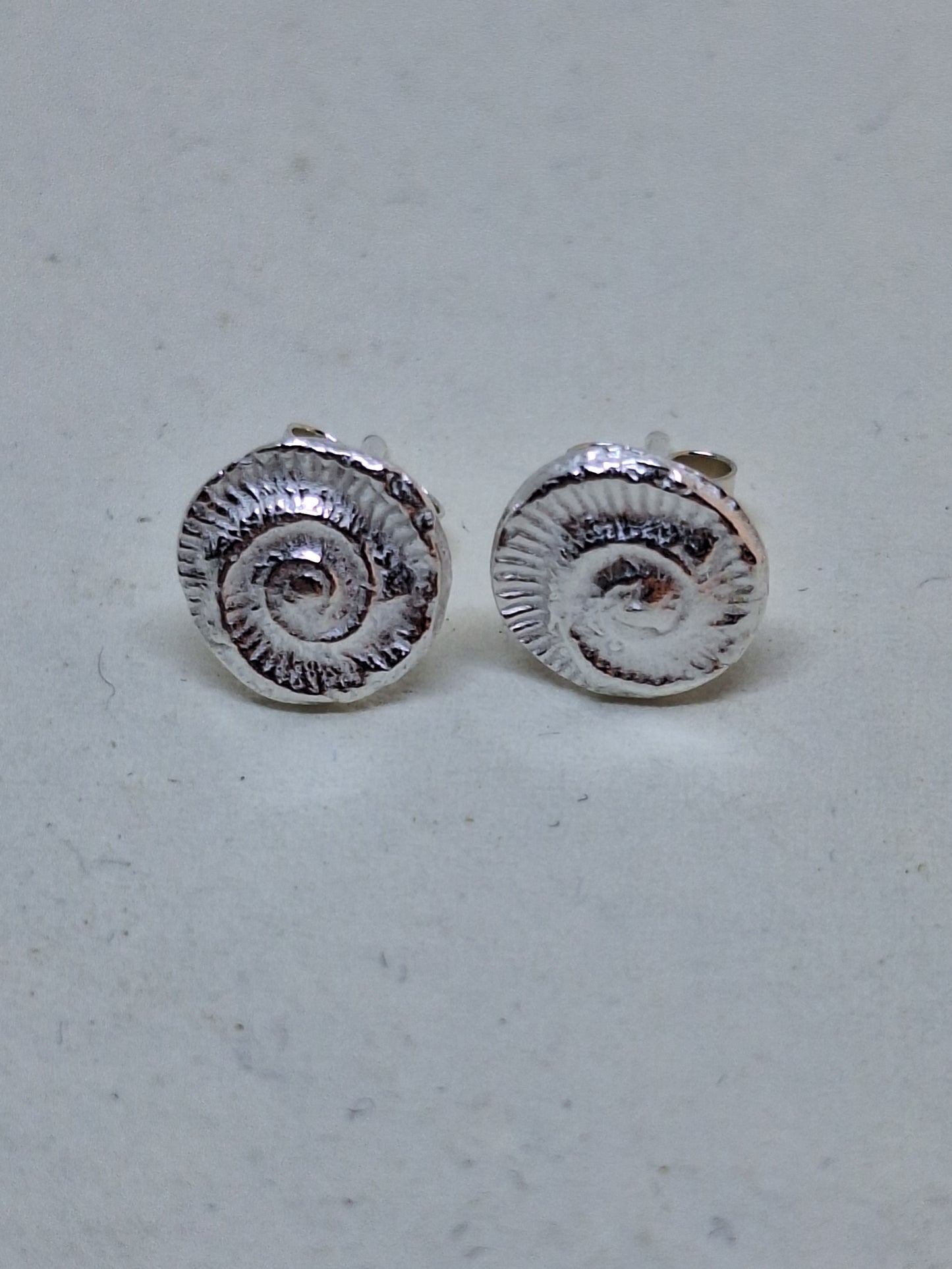 Ammonite stud  earrings