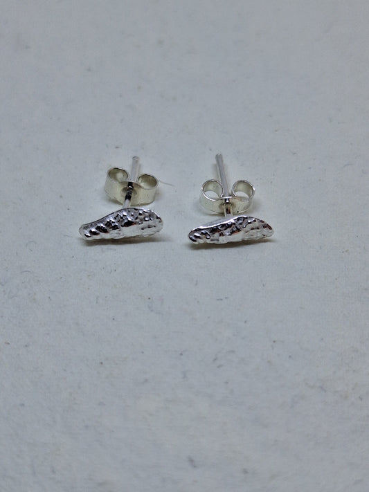 Tiny Auger shell stud earrings