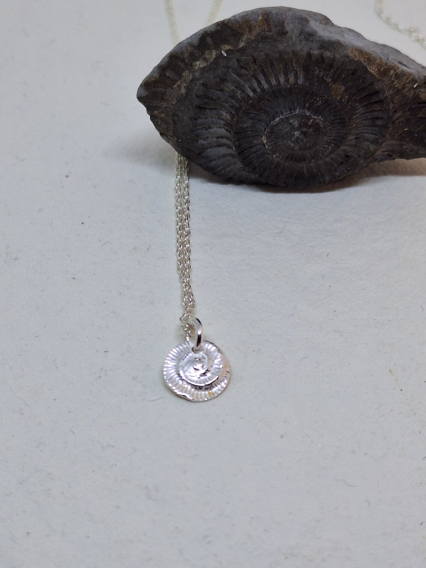 Ammonite charm pendant