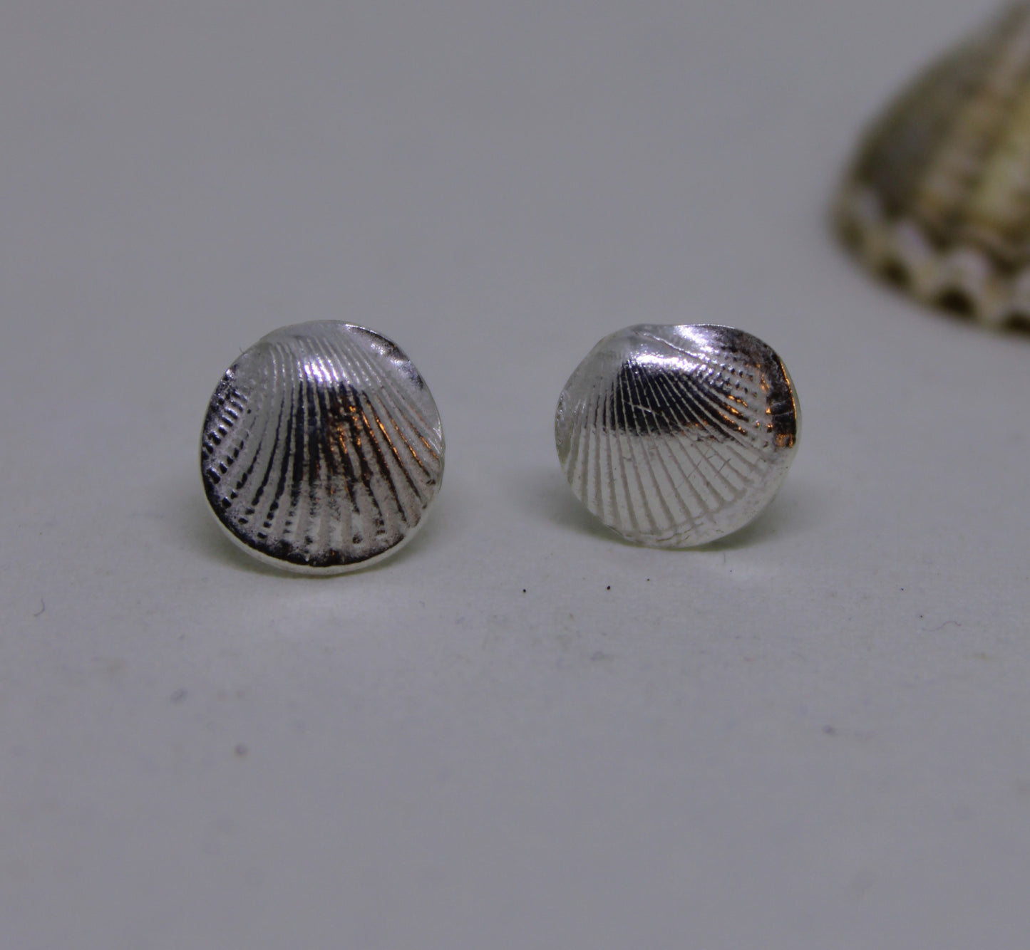 Cockle shell stud earrings