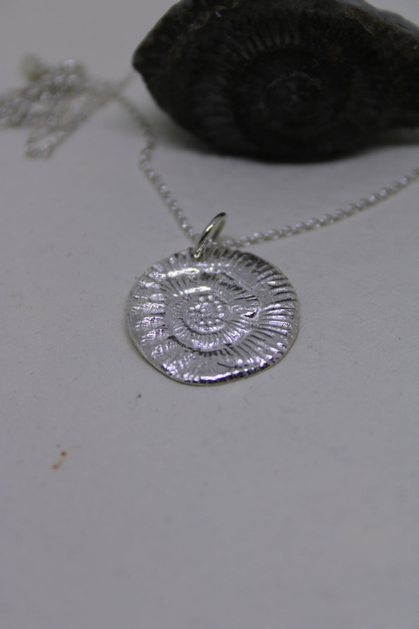 Ammonite pendant